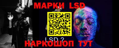 индика Новозыбков