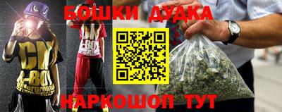 индика Новозыбков
