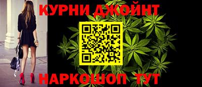 индика Новозыбков