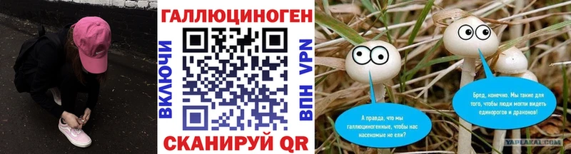 Псилоцибиновые грибы Psilocybine cubensis  где купить   Находка 