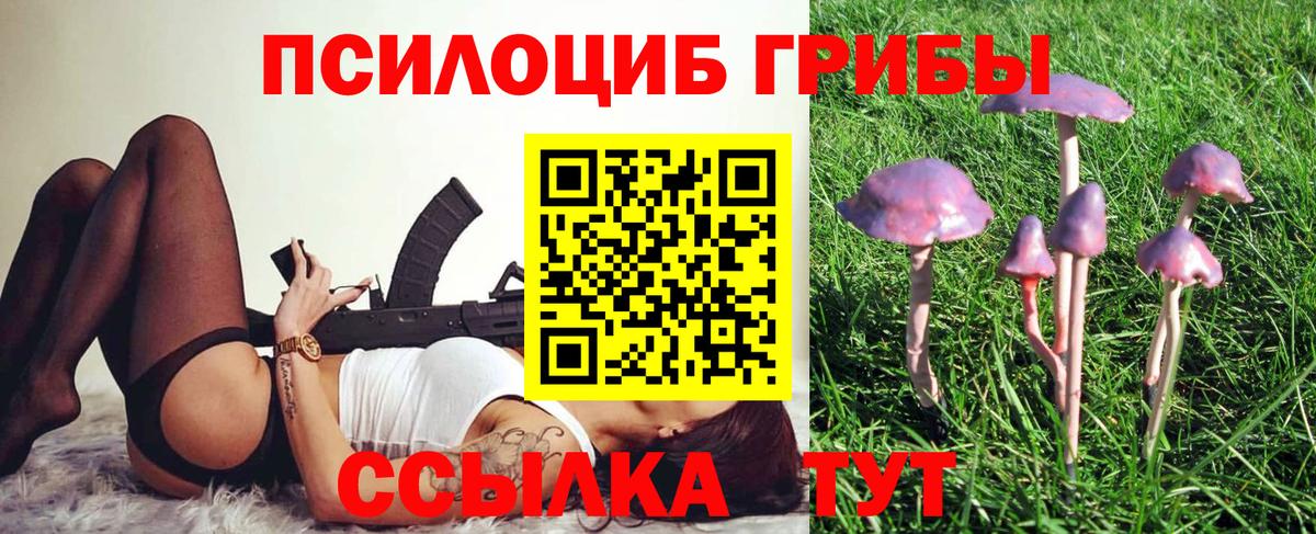 Псилоцибиновые грибы Psilocybine cubensis Находка