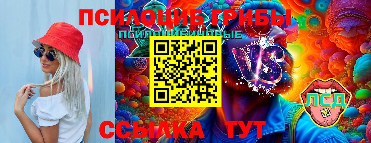 Находка  Псилоцибиновые грибы MAGIC MUSHROOMS  Вход с VPN 